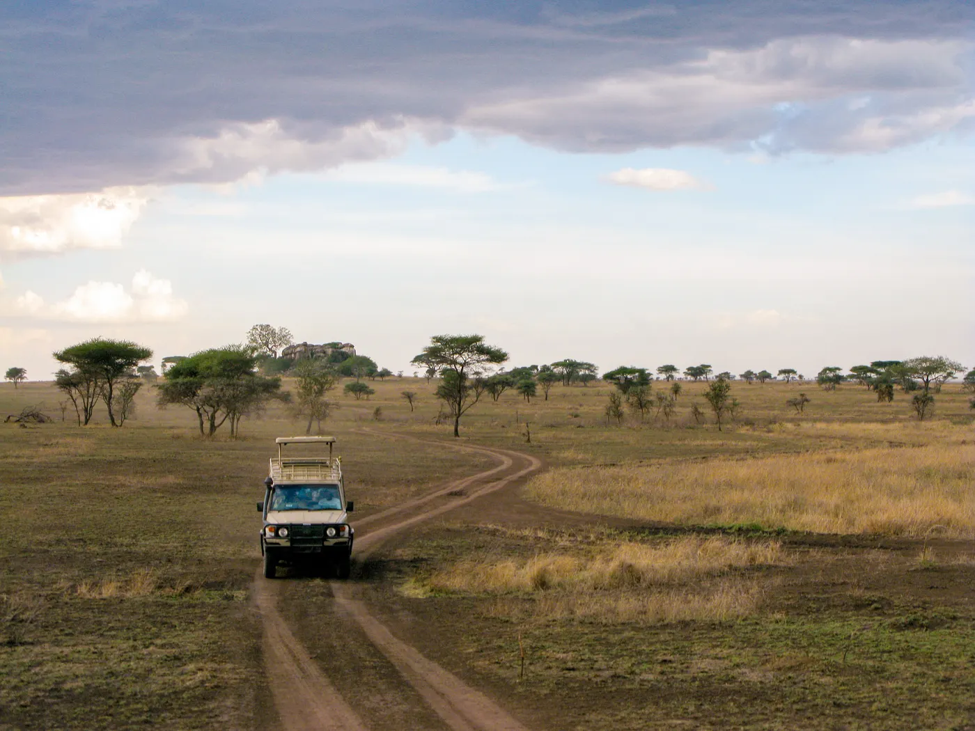 A Land Cruiser on safari in Tanzania